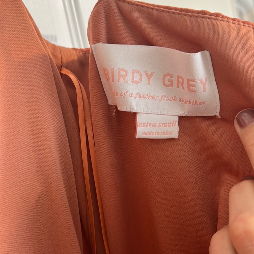 Birdy Grey Bridesmaids Dress - Picture 5 of 6